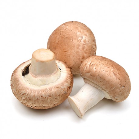 Bienfaits du champignon de Paris pour tomber enceinte