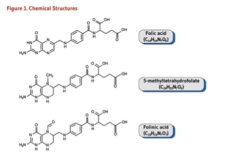 Fertilité : Le rôle du gène MTHFR et fertilité