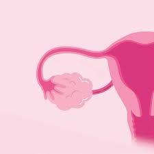 Comment augmenter sa réserve ovarienne naturellement