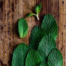 Clou de girofle et feuille de menthe