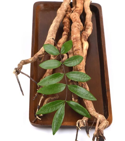 Aphrodisiaque tongkat ali pour durer au lit