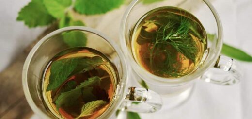 Recettes de Tisane pour maigrir