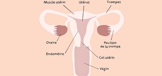 J'ai guéri de la vulvodynie traitement naturel crème