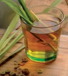 Feuilles de citronnelle et fertilité