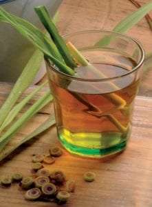 Feuilles de citronnelle et fertilité