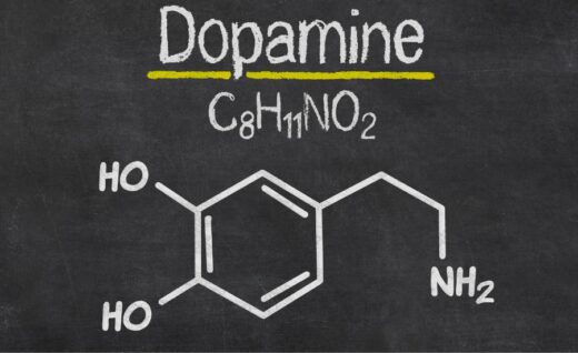 Dopamine trop élevée symptômes