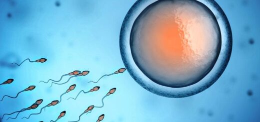 Traitement de fertilité pour femme