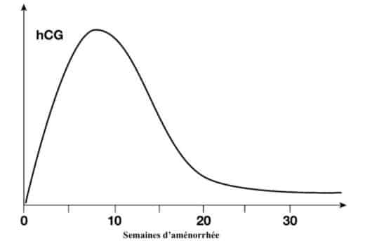 HCG et grossesse naturelle