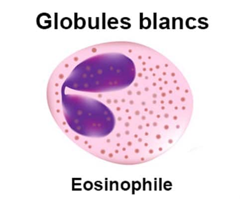 Eosinophiles traitement naturel