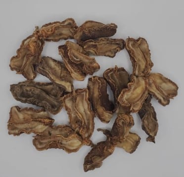 Ecorce de lakota et fertilité