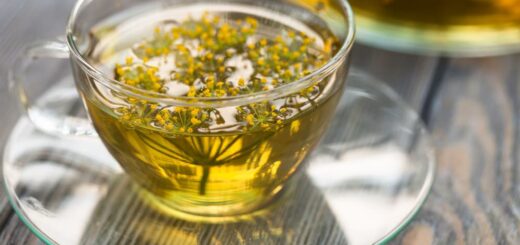 Tisane pour les bronches