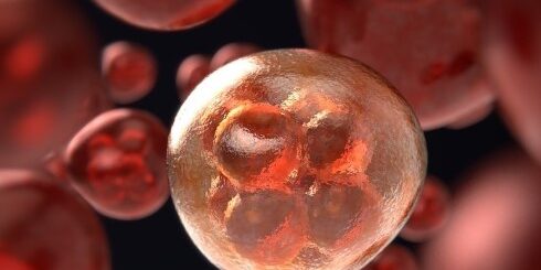 Marqueurs cancer tumoraux