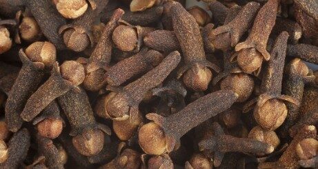 Clou de girofle et fibromes