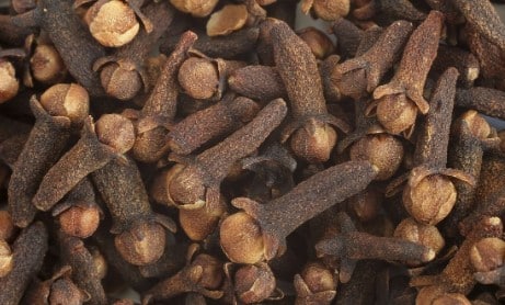 Clou de girofle et fibromes