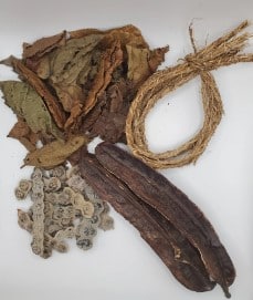 Gongoli et nep nep pour la fertilité