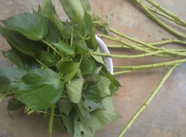 Nkui et accouchement chez la femme