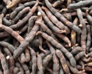 Poivre de guinée et grossesse