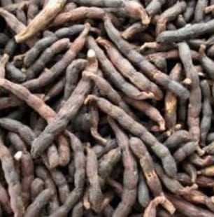 Poivre de guinée et grossesse