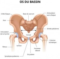 Symphyse pelvienne traitement naturel