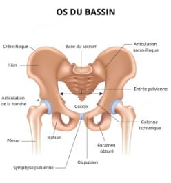 Symphyse pelvienne traitement naturel
