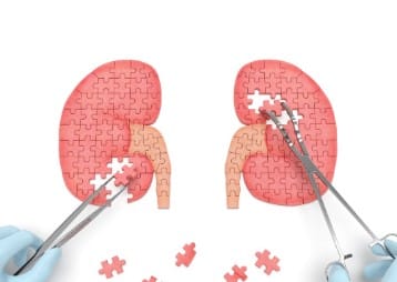 guérir d'une insuffisance rénale