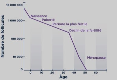 faible réserve ovarienne