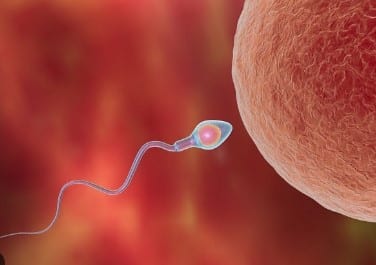 Comment faire pour tomber enceinte rapidement d'une manière naturelle ?