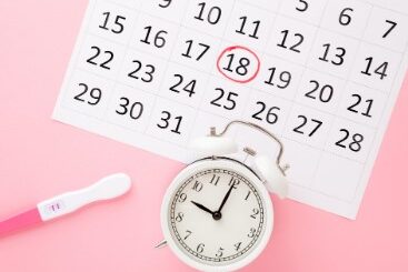 Ovulation calculatrice