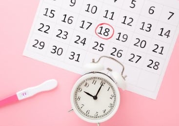 Ovulation calculatrice