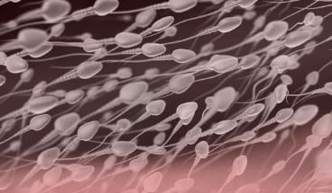comment augmenter les spermatozoïdes chez l'homme