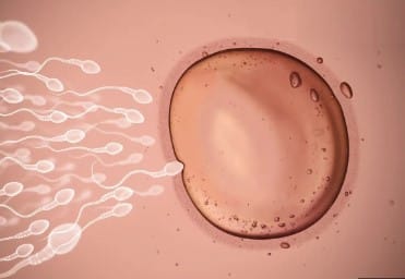 Maladie qui rend stérile homme