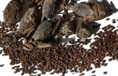 Poivre long africain et clou de girofle