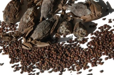 Poivre long africain et clou de girofle