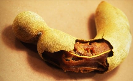 Tamarindus indica pour soulager les maux d'estomac