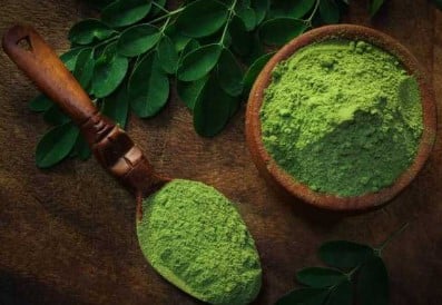 Moringa pour réguler la prolactine