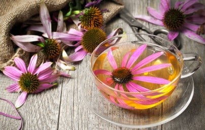 défenses immunitaires avec les meilleurs élixirs naturels