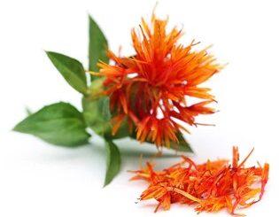 Safflower et douleurs menstruelles