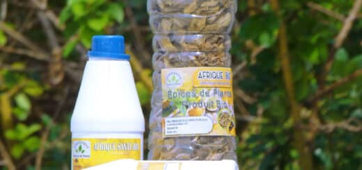 Tisane pour hépatite B chronique