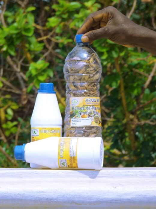 Tisane pour hépatite B chronique