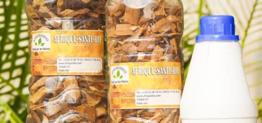 PALUDISME Traitements et Prévention