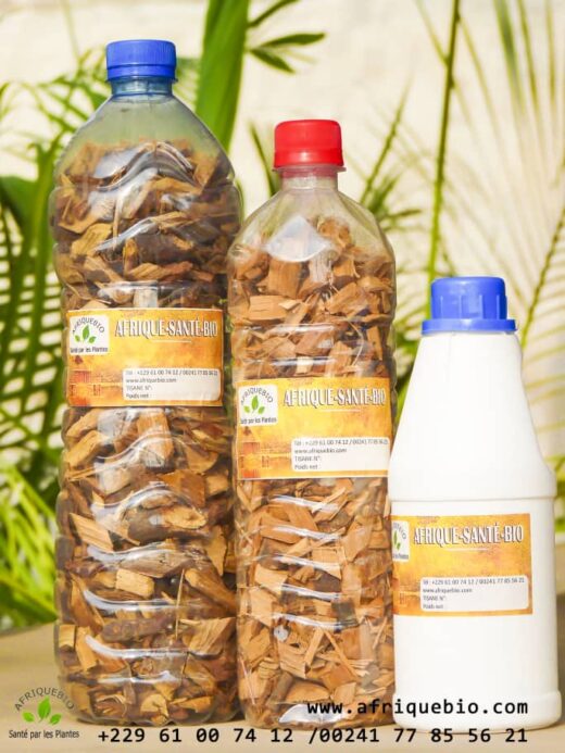 PALUDISME Traitements et Prévention