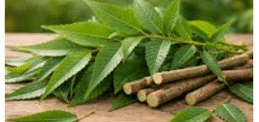 Traitements de l'Hépatite B : soin médical et soin naturel