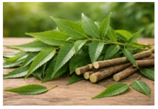 Traitements de l'Hépatite B : soin médical et soin naturel